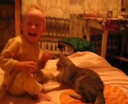 Кот против ребенка (2.150 MB)