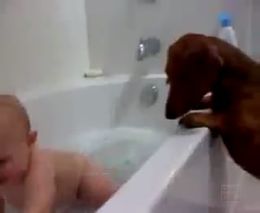 Веселый малыш принимает ванну (1.475 MB)