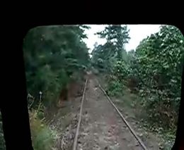 На поезде сквозь лес (5.922 MB)