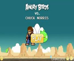 Chuck Norris vs Angry Birds (2.135 MB)