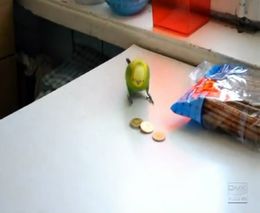 Попугай играет с монетками (4.305 MB)