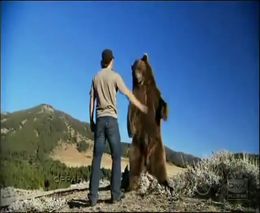 Дружба человека и медведя гризли (9.005 MB)