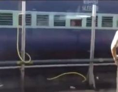 Как охлаждают вагоны поезда в Индии (3.565 MB)