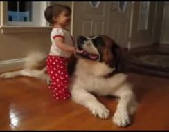 Маленькая девочка и большая собака (5.310 MB)