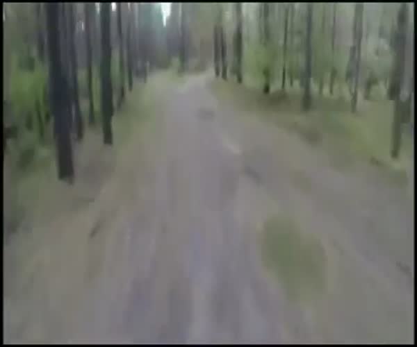 Медведь преследует велосипедиста (3.857 MB)