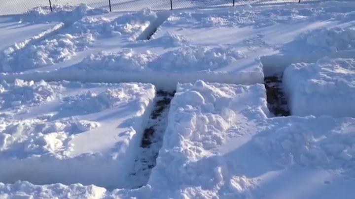 Снежный лабиринт для собаки (13.606 MB)