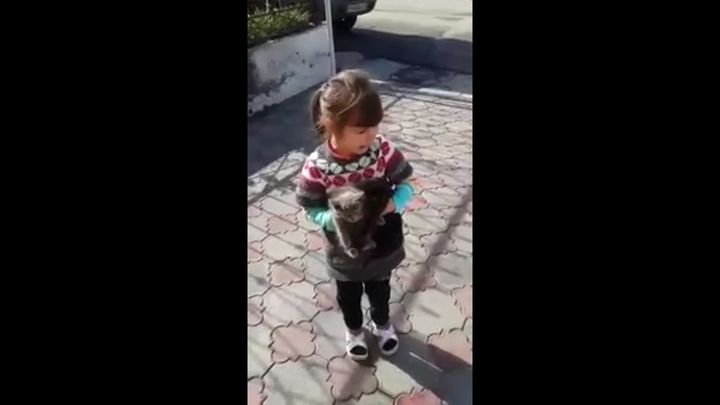 Девочка просит оставить котенка (6.230 MB)