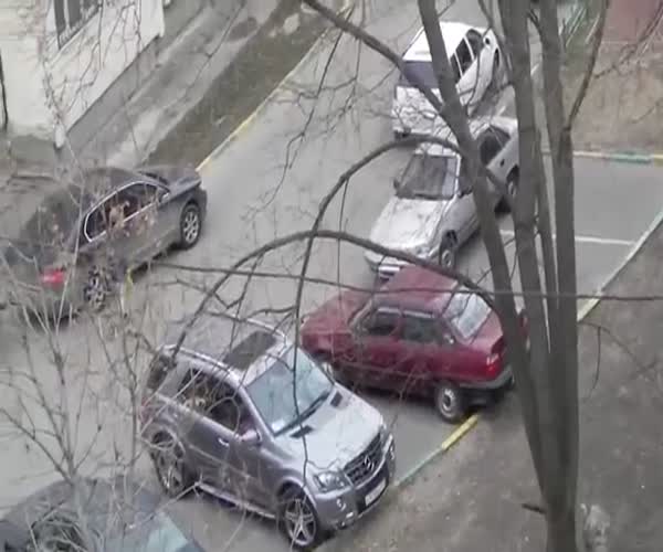 Наглый москвич блокирует парковочные места (14.291 MB)