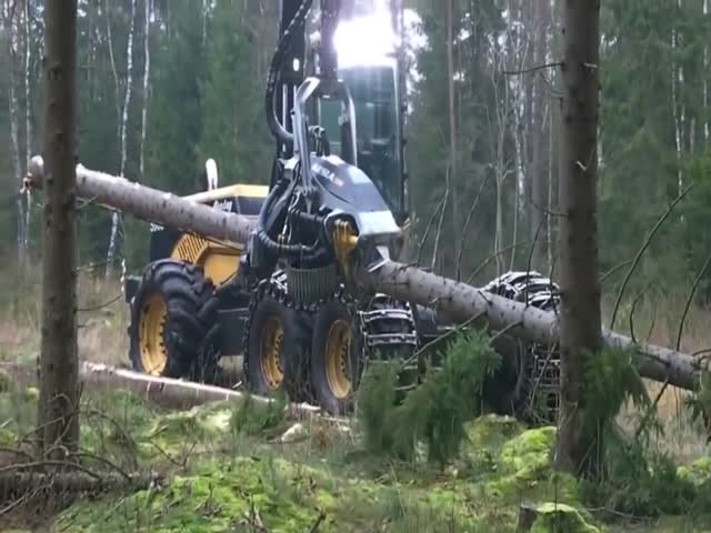 Современная техника для вырубки леса
