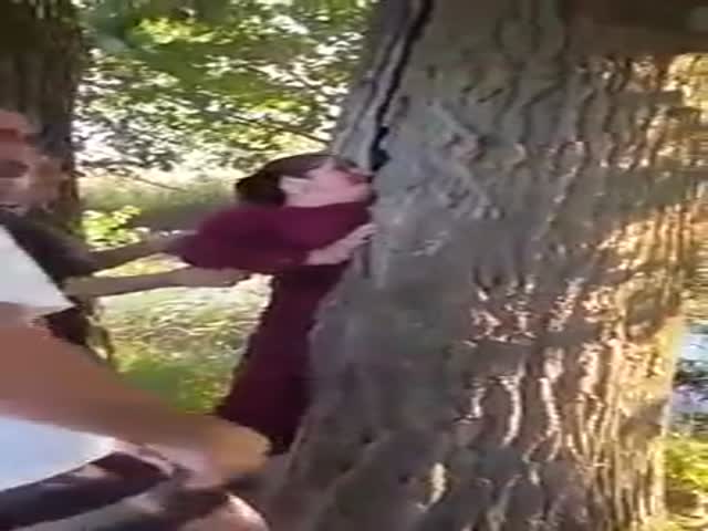 Женщина на спор залезла в трещину в дереве и не смогла выползли обратно (7.953 MB)