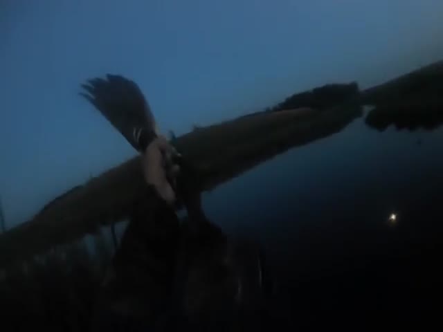 Охотник ловко подстрелил утку