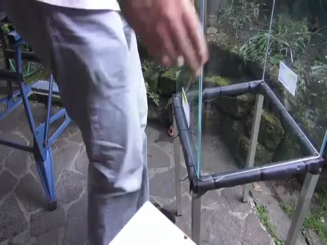 Парень установил аквариум в пруду