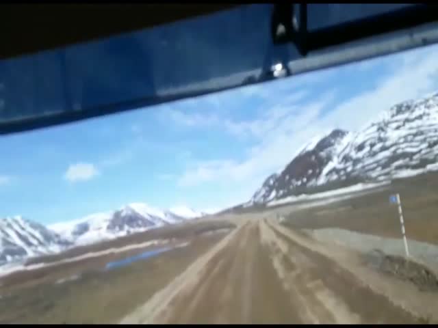 Ворона выпрашивает угощение у водителя грузовика в Казахстане