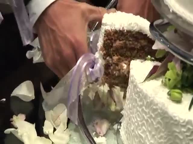 Жених с невестой решили покидаться свадебным тортом