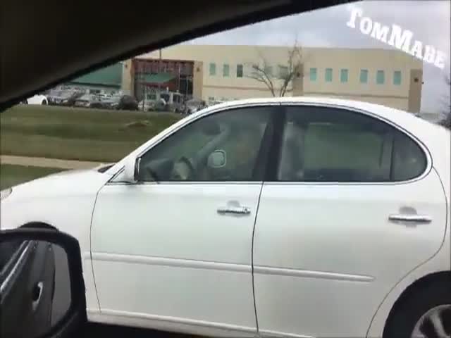 Решил поучить женщину за рулем, но забыл посмотреть на дорогу