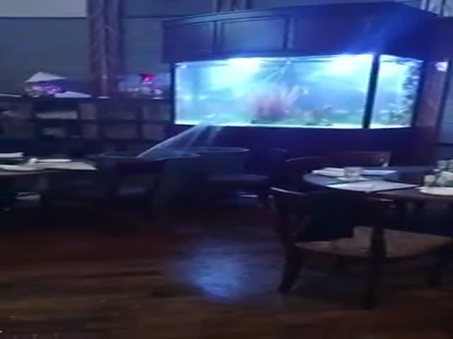 Трещина в огромном аквариуме в одном из ресторанов города Хьюстон, США