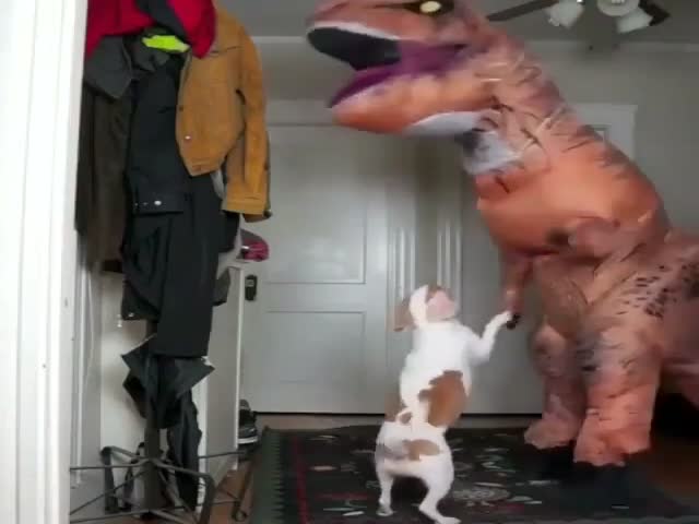 Собака отлично поладила с динозавром