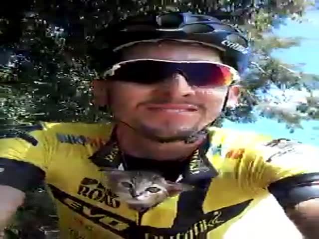 Бразильский велосипедист подобрал на дороге и забрал с собой котенка