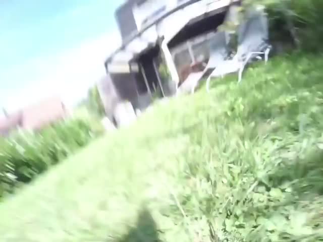 Собака уничтожает дом в поисках мяча
