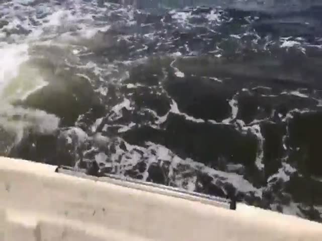 Горбатый кит выпрыгнул прямо возле лодки