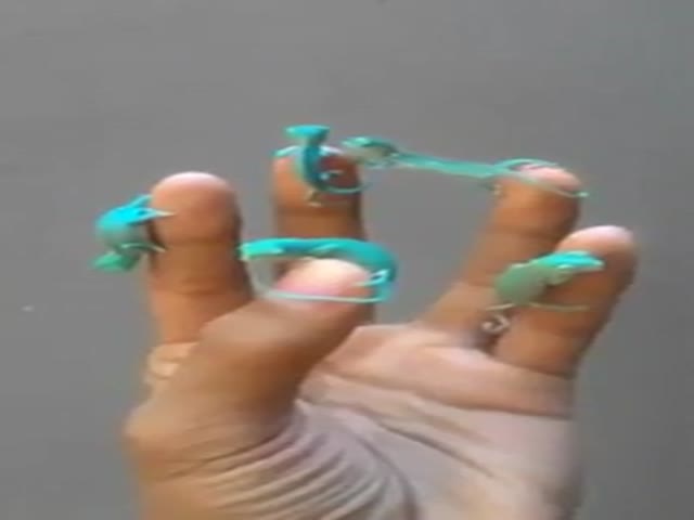 Маленькие хамелеоны лазают по пальцам