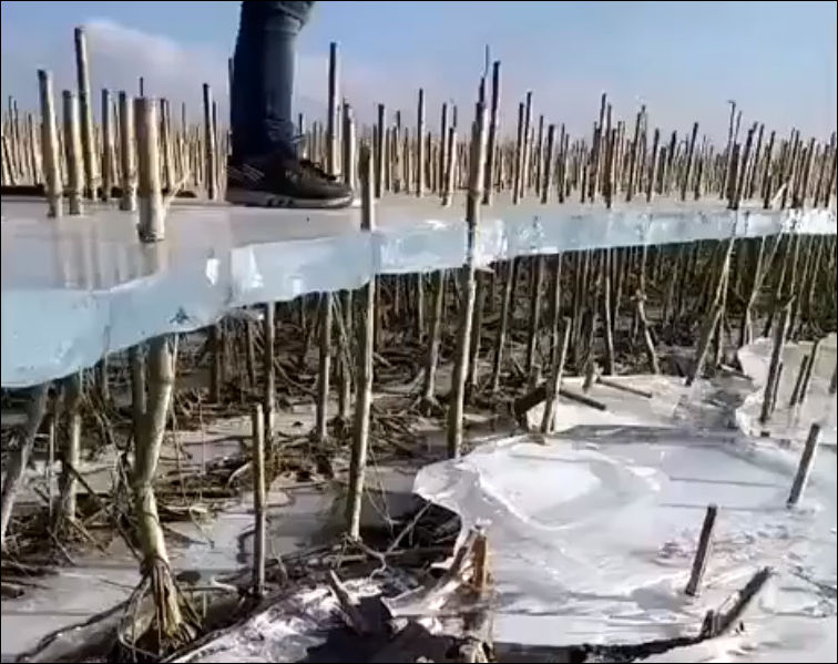 Вода отступила с поля, а лед остался