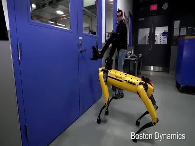 Сотрудник пытается помешать роботу Boston Dynamics открыть дверь