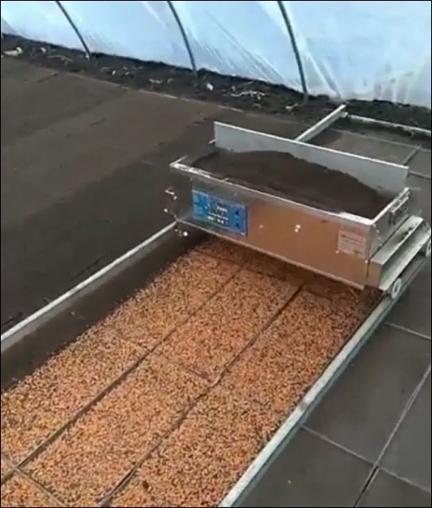 Устройство для быстрого посева семян в теплице