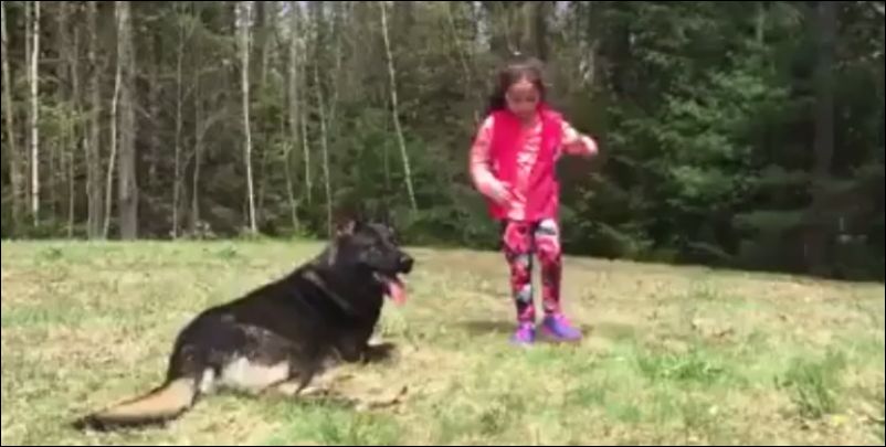 Тренировка собаки для защиты ребенка