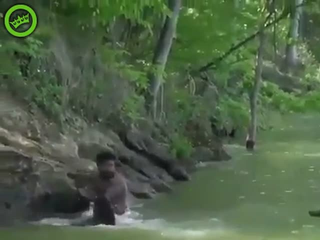 Отчаянная попытка спасти друга от крокодила