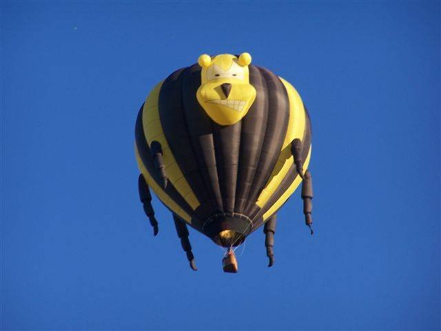 Фестиваль воздушных шаров (19 фото)