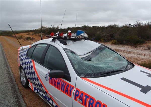 Полицейский автомобиль сбил кенгуру (3 фото)