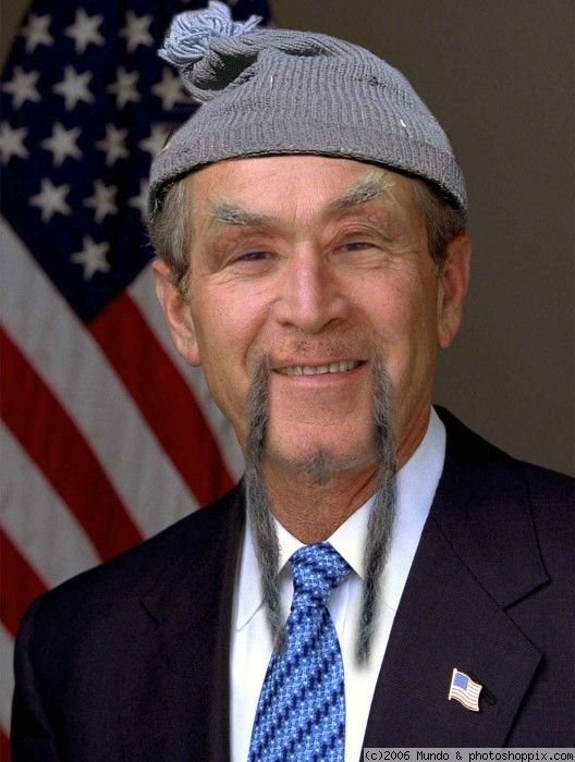 Отжабили Буша (20 фото)