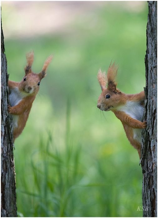 Фотоподборка четверга! (80 фото)