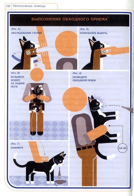 Инструкция по экплуатации кошки (7 фото)