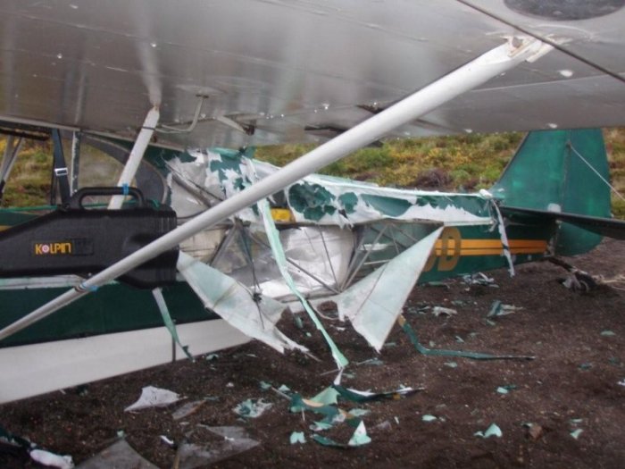 Нападение медведя на самолет (6 фото)