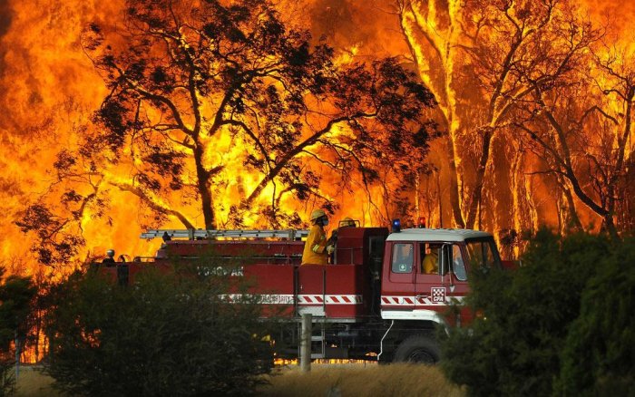Австралия в огне (36 фото)