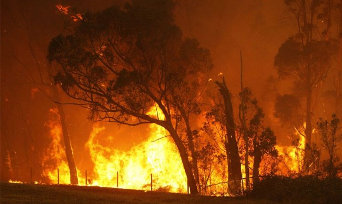 Австралия в огне (36 фото)