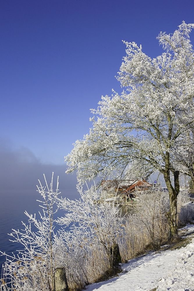 Красивые зимние фотографии (30 фото)
