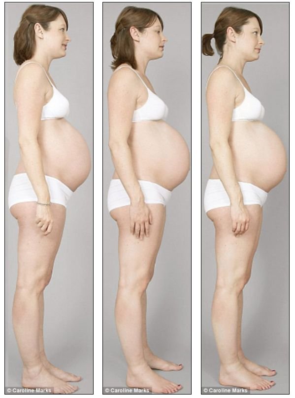 Беременность в картинках (27 фото)