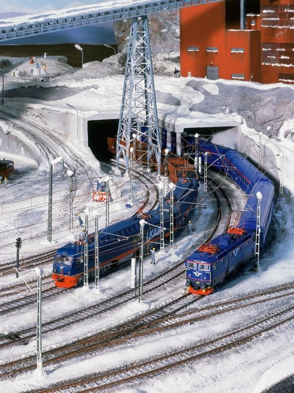 Самая большая модель железной дороги (20 фото)