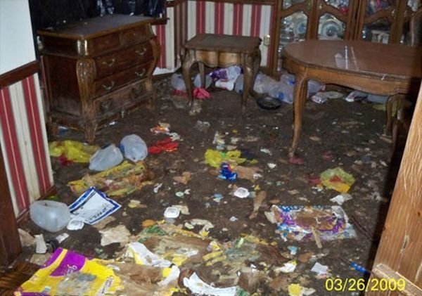 Угадайте, почему в этой квартире так грязно (4 фото)