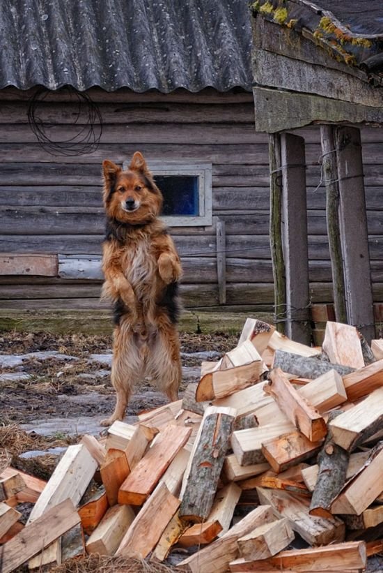 Фотоподборка вторника! (183 фото)