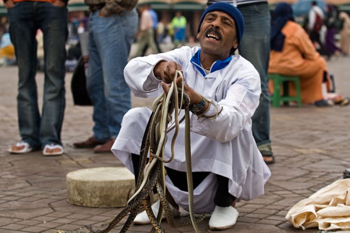 Заклинатели змей в Марокко (8 фото)