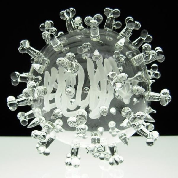 Стеклянные вирусы (11 фото)
