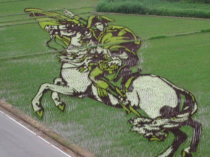 Рисунки на рисовых полях (14 фото)