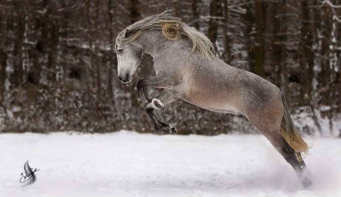 Фотоподборка понедельника! (142 фото)