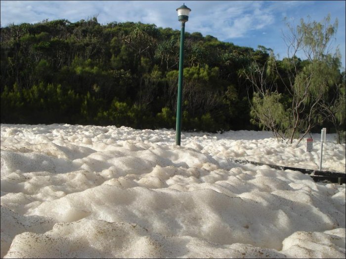 Пена на пляжах Австралии (15 фото)