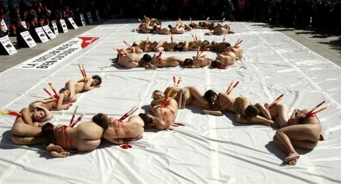 Протест против корриды (9 фото)