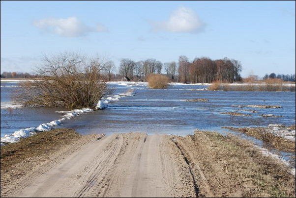 Весна пришла (37 фото)